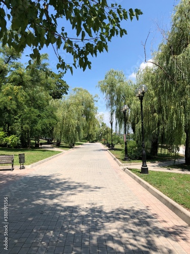 road in the park