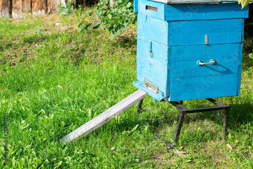 Beekeeping. Working bees are of the honey in the hive. Homemade belt. Blue house for bees. belt.