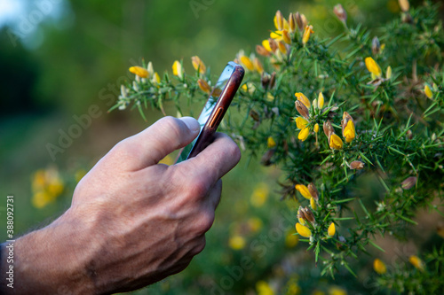 homme qui scanne une plante avec une application de reconnaissance photo