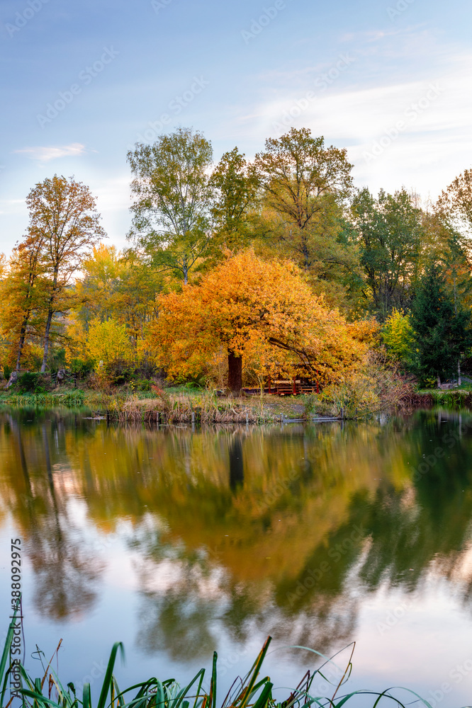 Floßteich im Herbst bei Schneidenbach im Vogtland