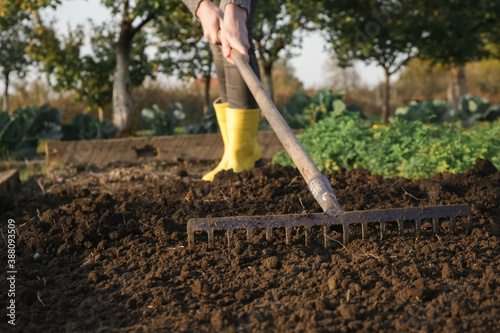 Woman in yellow rubber boots working in garden with rake leveling ground Fototapet