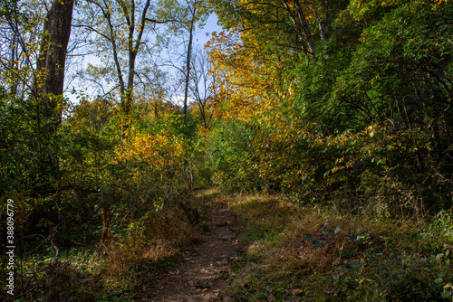 Trails in Autumn. 