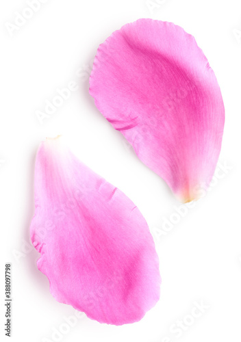 Fototapeta Naklejka Na Ścianę i Meble -  Petals of peony flower isolated on white background