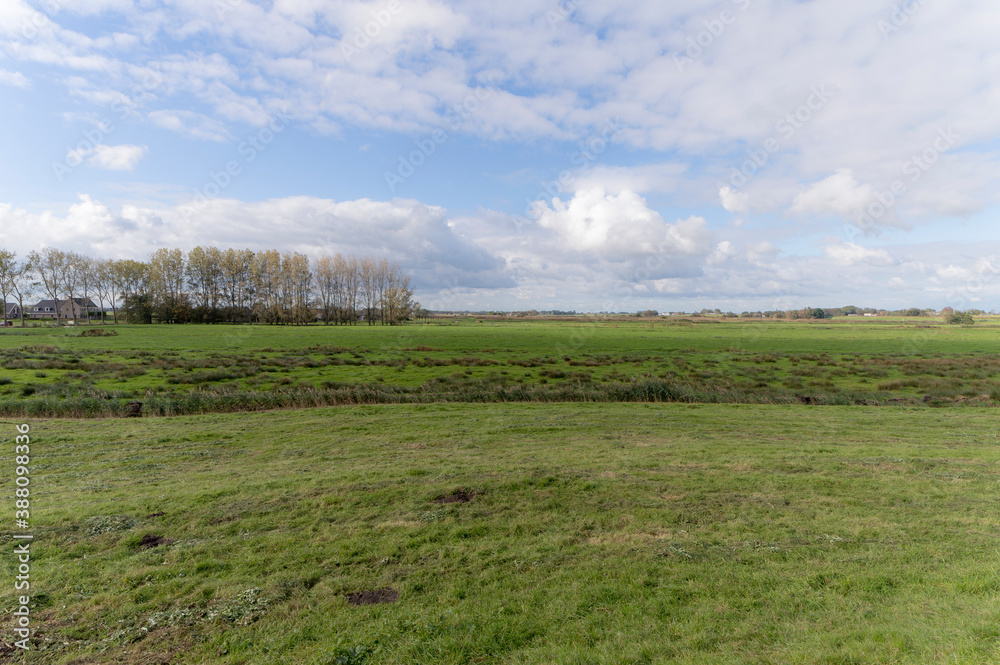 An agricultural field in Waverveen, The Netherlands An agricultural field in Waverveen, The Netherlands