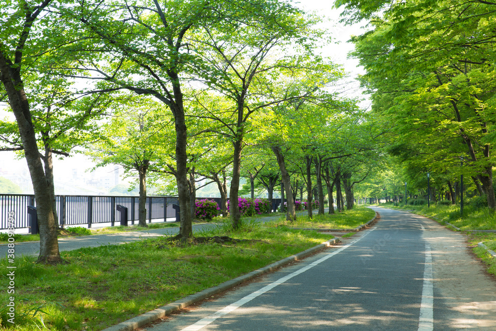 大阪毛馬桜宮公園の遊歩道