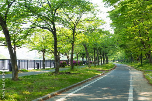 大阪毛馬桜宮公園の遊歩道 © Paylessimages