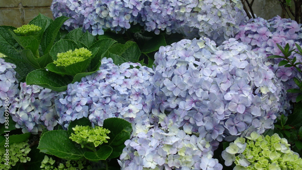 GEDSC DIGITAL CAMERA.