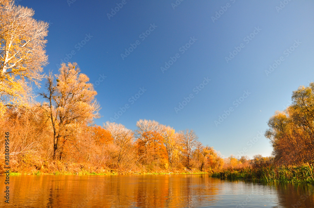 Waterfall Photography. Orange Autumn Canva. Blue Tropical Waterfall. Golden Sunshine Template. Yellow Botanical Texture. Autumn Photography. Amazing Landscape. Abstract Wallpaper.