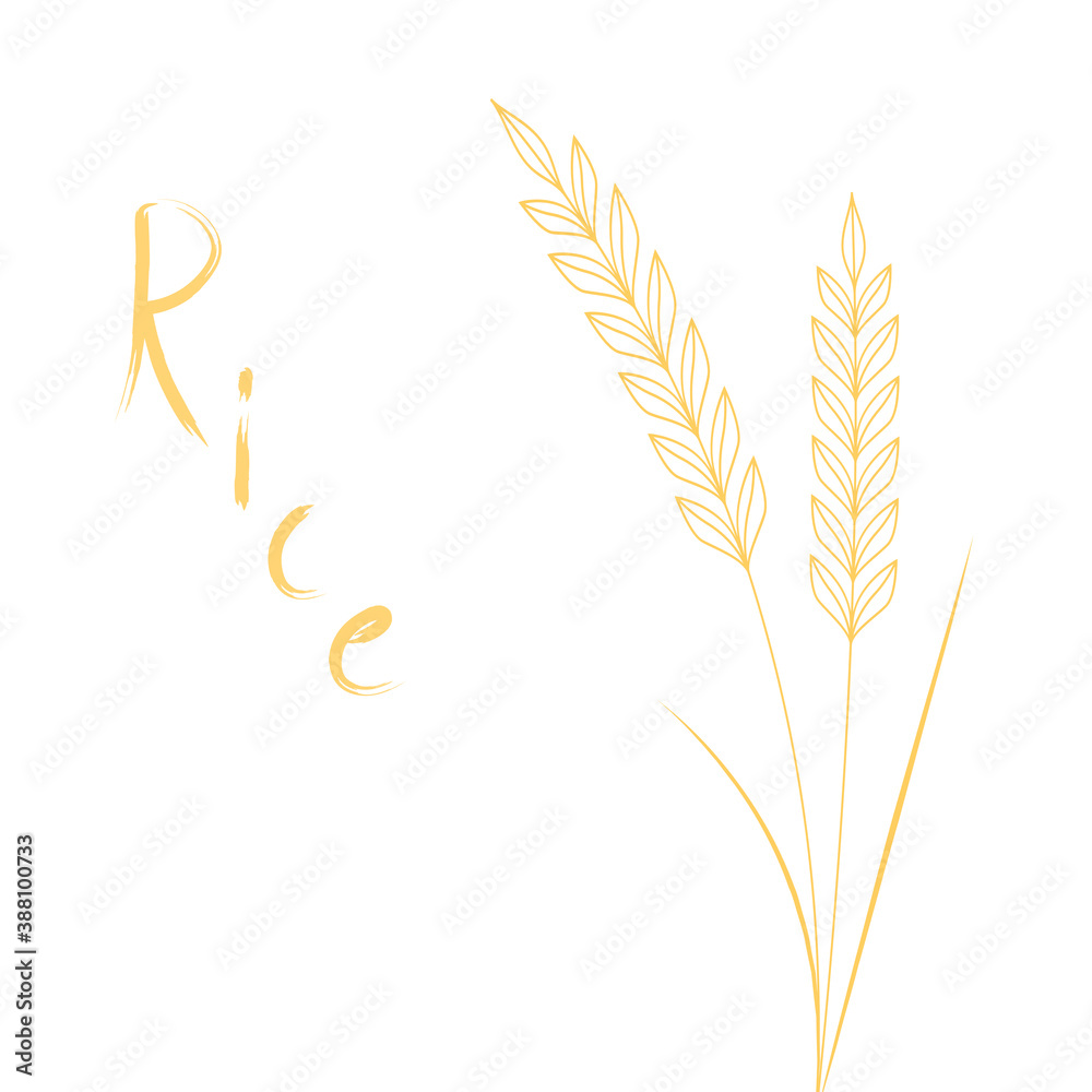 Rice logo design. Wheat symbol. Rice logo design. Wheat symbol.