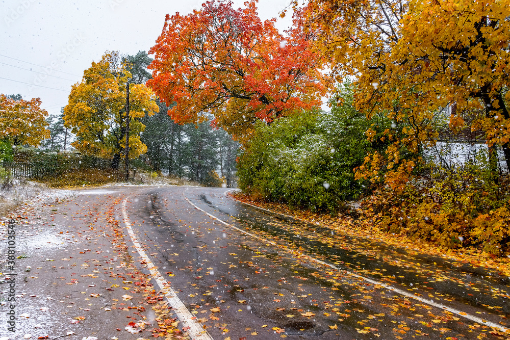Fototapeta premium The first snow in Karelia