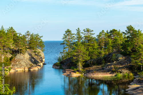 beautiful landscape of green  natural trees  plants  stones on an island surrounded by a natural reservoir  lake against a blue sky in Karelia  Russia