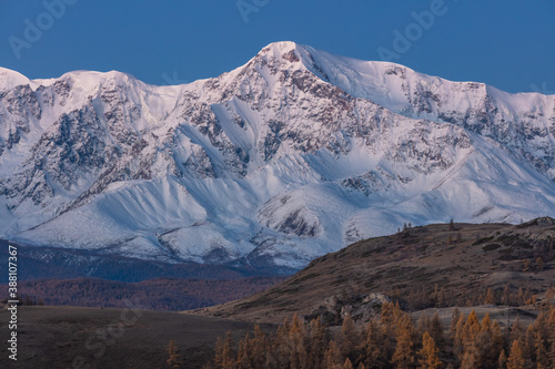 Beautiful shot of a white snowy mountain and hills with trees in the foreground. Fall time. Sunrise. Blue hour. Altai mountains, Russia