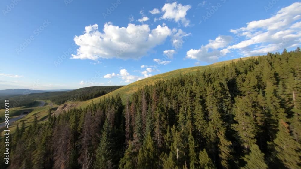A drone shot of a forested area followed by a recently deforested area filmed during a golden hour sunset A drone shot of a forested area followed by a recently deforested area filmed during a golden hour sunset