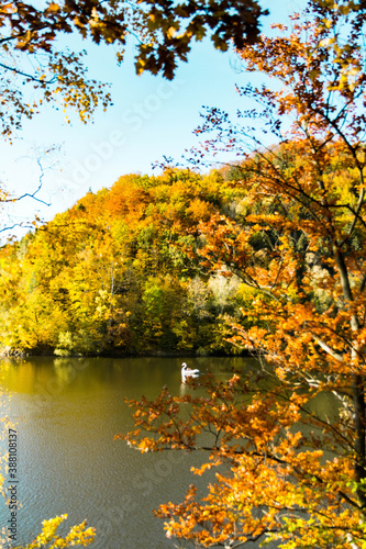Autumn at Bystrzyckie lake