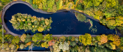 Canvas Print Bushy Park - Dublin Ireland