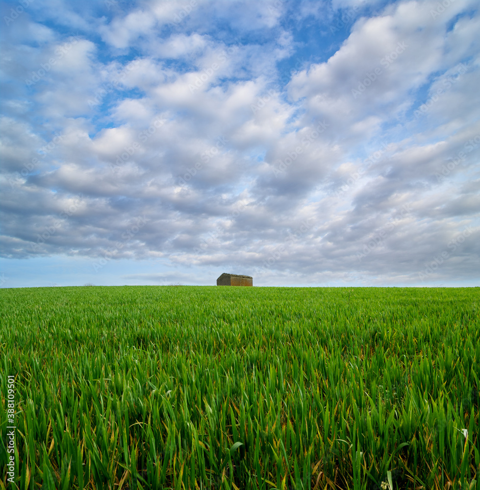 Field Grass With Rural House At The Horizon On A Hill And Below A Cloudy Sky, A Landscape Of The Sicily Agriculture Field Grass With Rural House At The Horizon On A Hill And Below A Cloudy Sky, A Landscape Of The Sicily Agriculture