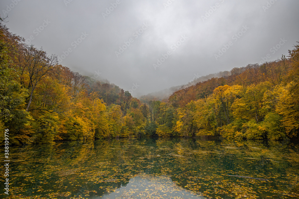 Fototapeta premium Beautiful dramatic view of autumn forest over clouds and fog. Fall season nature landscape, amazing colors, orange yellow golden leaves. Dream autumn nature scenery calm lake water reflection, foliage