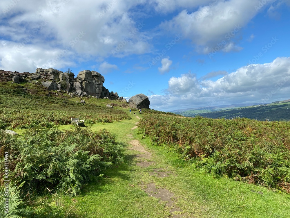 View up the trail, leading to the Cow and Calf rocks, with bracken, grass and a cloudy sky in, Ilkley, Yorkshire, UK