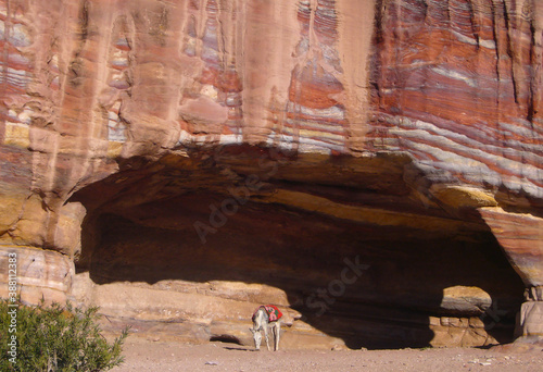 Detalle de la peculiar geologia de la zona de Petra en jordania photo