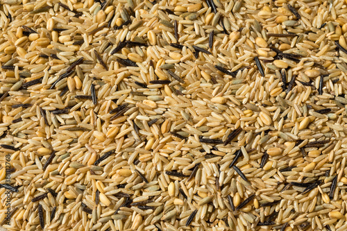 Raw Dry Organic Wild Rice