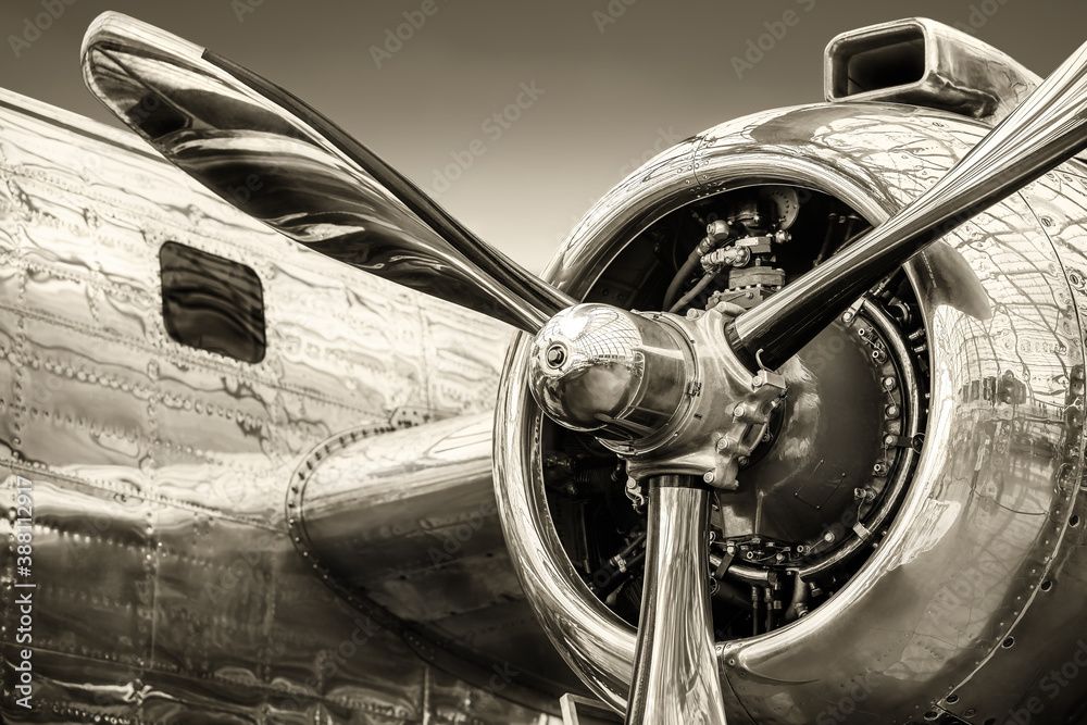radial engine of an historical aircraft - obrazy, fototapety, plakaty 