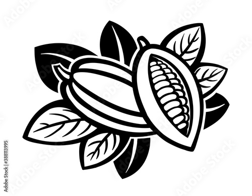 Cocoa beans with leaves on a white background. Vector illustration.