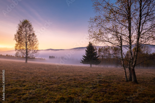 colorful sky before sun rise  beautiful trees in foggy morning  bohemian forest  cold morning