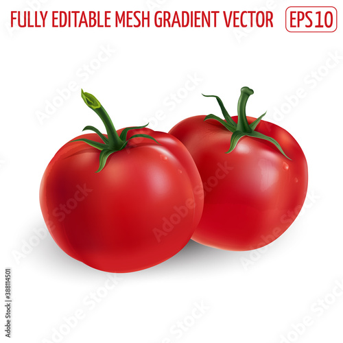 Two red tomatoes on a white background.