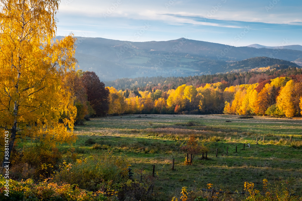 colorful autumn valley, yellow trees in evening light, perfect landscape, bohemian forest, czech republic