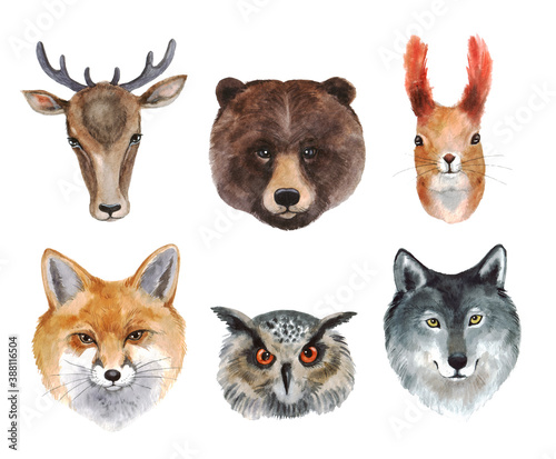 Watercolor set of forest animals - bear, deer, squirrel, fox, wolf, owl. Animal faces on white background for your design