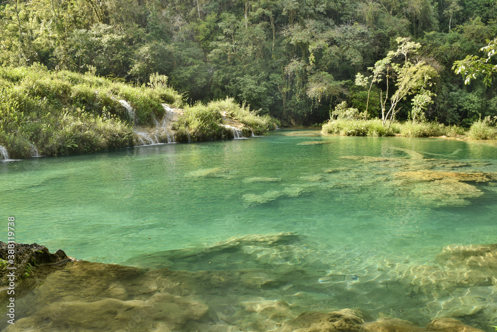 Cristal clear water in Semuc Champey cascade river Cristal clear water in Semuc Champey cascade river