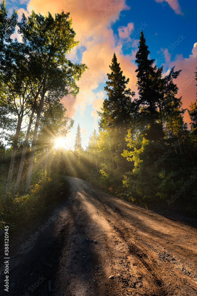 Dirt Road leading into the forest during a fall season. Canadian Mountain Landscape. Yukon, Canada. Dramatic Colorful Sunset with Sunrays Artistic Render