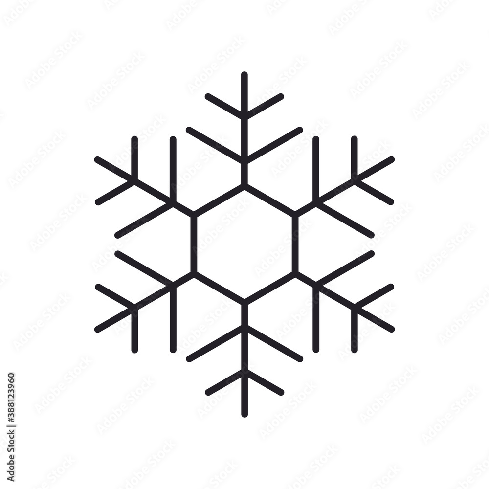 snowflake, a linear icon on a white background. vector snowflake, a linear icon on a white background. vector