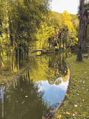 Tranquilo bosque en otoño a La Luz del sol en Bertiz, Navarra, España, Europa