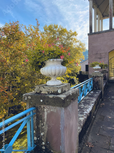 Florero con el fondo de un bosque frente a un bonito edificio
