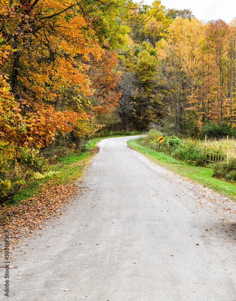 empty dirt road in Autumn