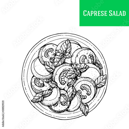 Caprese salad vector illustration. Italian cuisine. Hand drawn sketch illustration. Italian food. Top view.