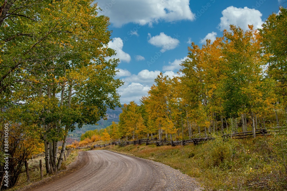 road in autumn road in autumn