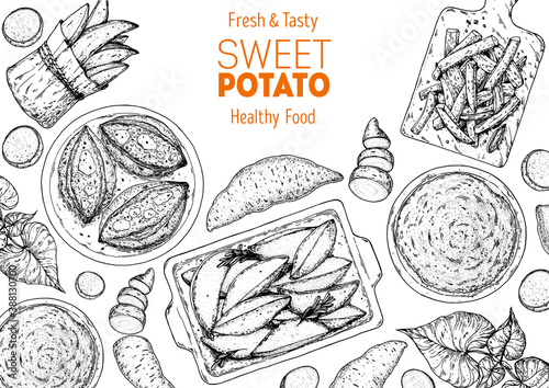 Sweet potato sketch illustration. Batatas hand drawn vector illustration. Farm market food. Raw and cooked sweet potatoes hand drawn. Packaging design.