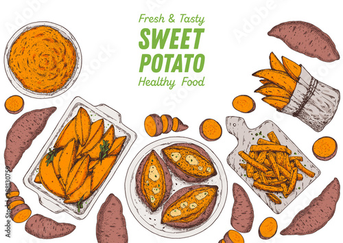 Sweet potato illustration. Batatas hand drawn vector illustration. Farm market food. Raw and cooked sweet potatoes hand drawn. Packaging design.