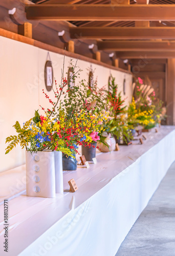 Exhibition of Japanese Ikebana flower art in the courtyard of the Shinto Meiji-Jingu Shrine during the commemorations of the birth anniversary of the Meiji Emperor. photo