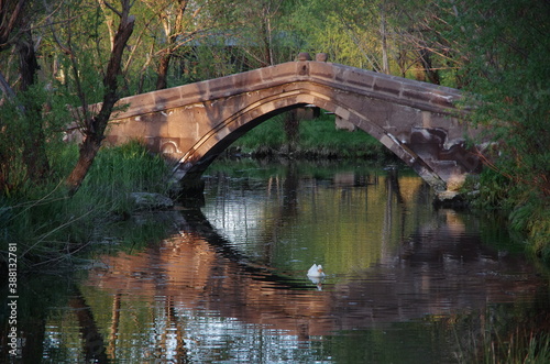 A white duck under a stone bridge at Van city.