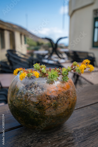 Round glass vase with flowers