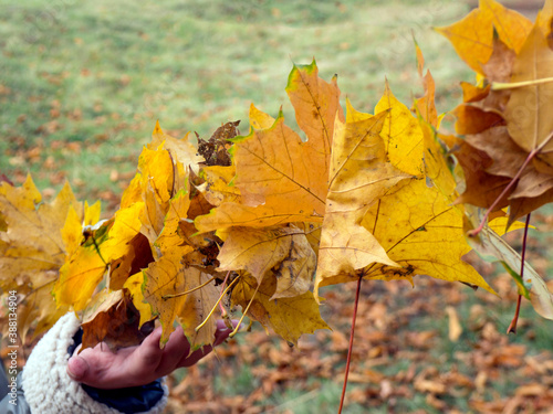 girl holding garland autumn yellow leaves