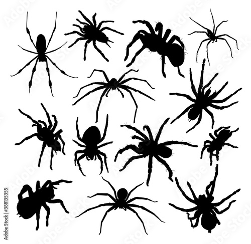 set of spider silhouettes vector