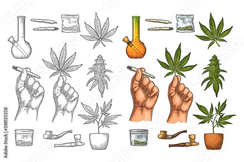Set Marijuana. Cigarettes, pipe, lighter, buds cannabis. Vintage engraving