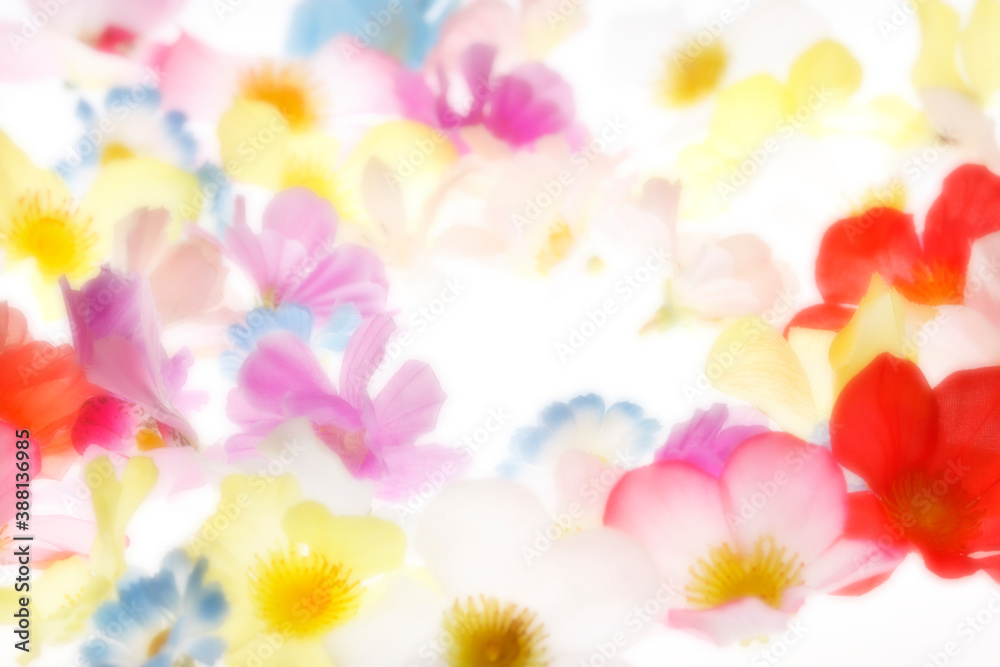 Fototapeta premium 花のバックグラウンド