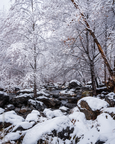 Sedona Oak Creek on a Snowy Day