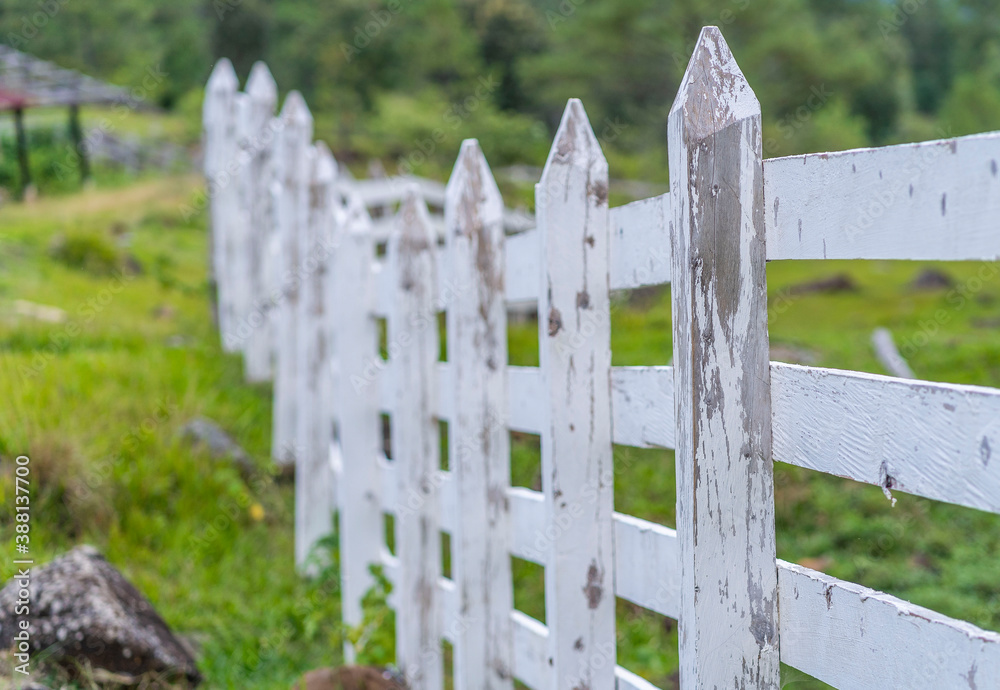 White picket fence in farm. Picket fence with depth of field