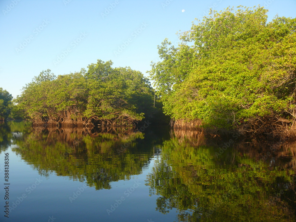 lake in the forest lake in the forest